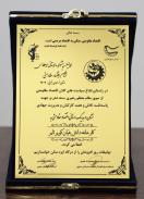 دریافت تندیس و نشان درجه یک اقتصاد مقاومتی خراسان جنوبی